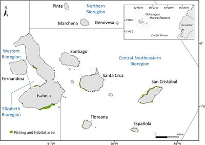 Overexploitation and More Than a Decade of Failed Management Leads to No Recovery of the Galápagos Sea Cucumber Fishery